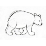 Dibujo para colorear Dibujo De Oso Facil De Dibujar Para Pintar Y Colorear