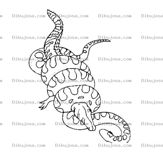 Dibujo para colorear Dibujo De Culebra Matando A Cocodrilo Para Pintar Y Colorear