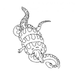 Dibujo para colorear Dibujo De Culebra Matando A Cocodrilo Para Pintar Y Colorear
