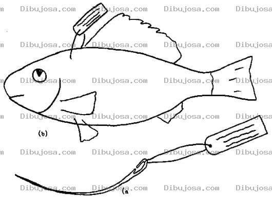 Dibujo para colorear Dibujo De Pescado Etiquetado Para Pintar Y Colorear Pez Con Etiqueta