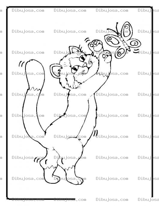 Dibujo para colorear colorear gato y mariposa