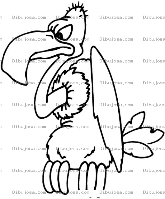 Dibujo para colorear Dibujo De Buitre Para Pintar Y Colorear Pajaro Buitron