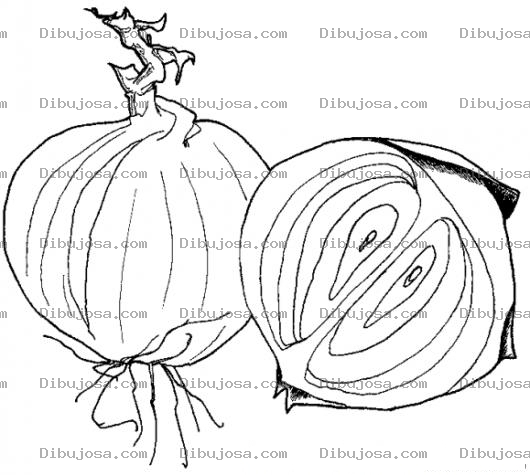 Dibujo para colorear Dibujo De Cebollas Para Colorear