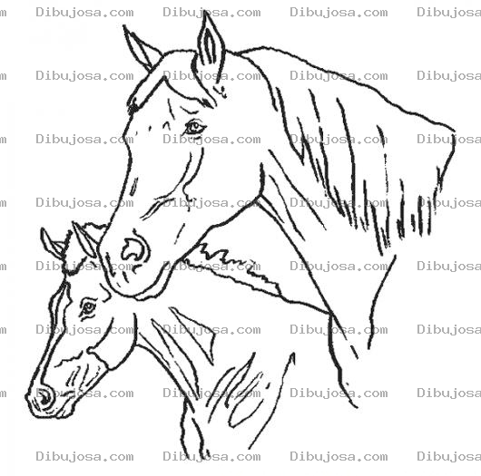 Dibujo para colorear Dibujo De Caballos En Caballeriza Para Pintar Y Colorear Caballerisa