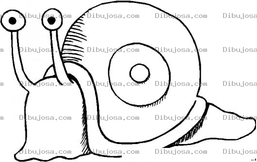 Dibujo para colorear Dibujo De Caracol Asustado Para Colorear