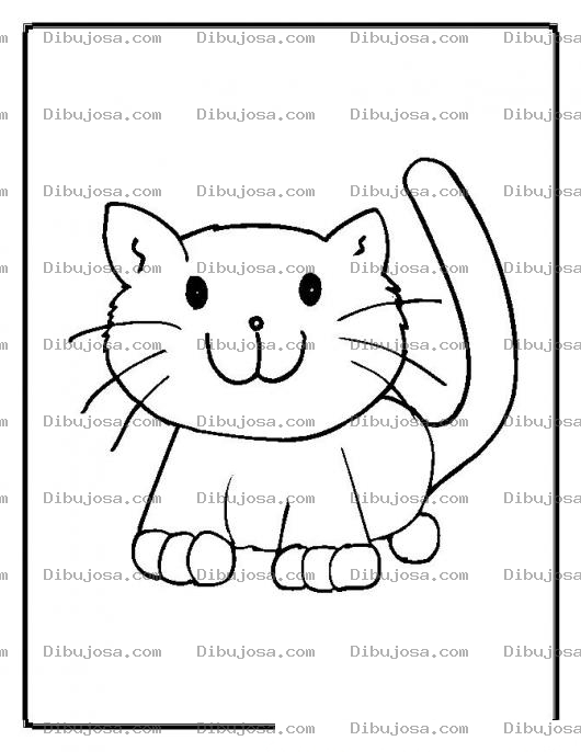 Dibujo para colorear colorear gato bebe