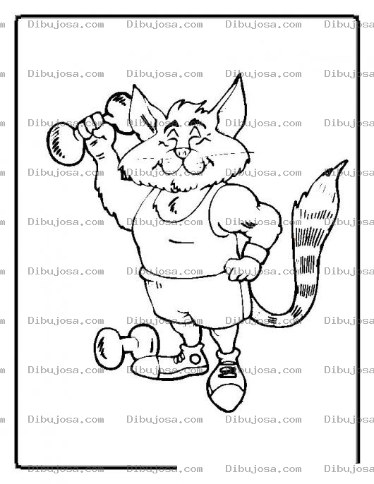 Dibujo para colorear colorear gato musculoso