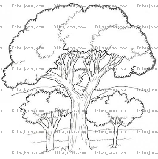 Dibujo para colorear Dibujo De Arboles Para Pintar Y Colorear