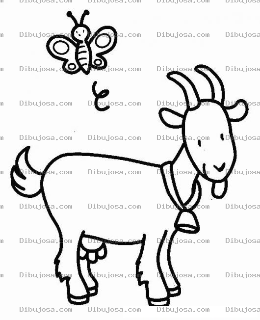 Dibujo para colorear Dibujo De Mariposa Y Cabra Para Pintar Y Colorear