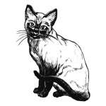 Dibujo para colorear Colorear gato siames