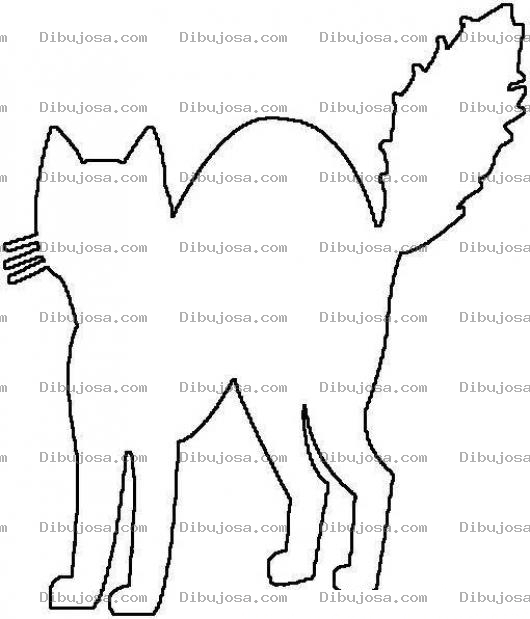 Dibujo para colorear Colorear gato erizado