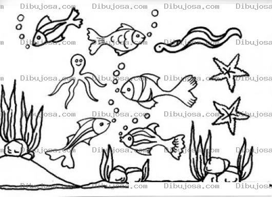 Dibujo para colorear Dibujo De Animales Del Mar Para Pintar Y Colorear
