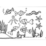 Dibujo para colorear Dibujo De Animales Del Mar Para Pintar Y Colorear