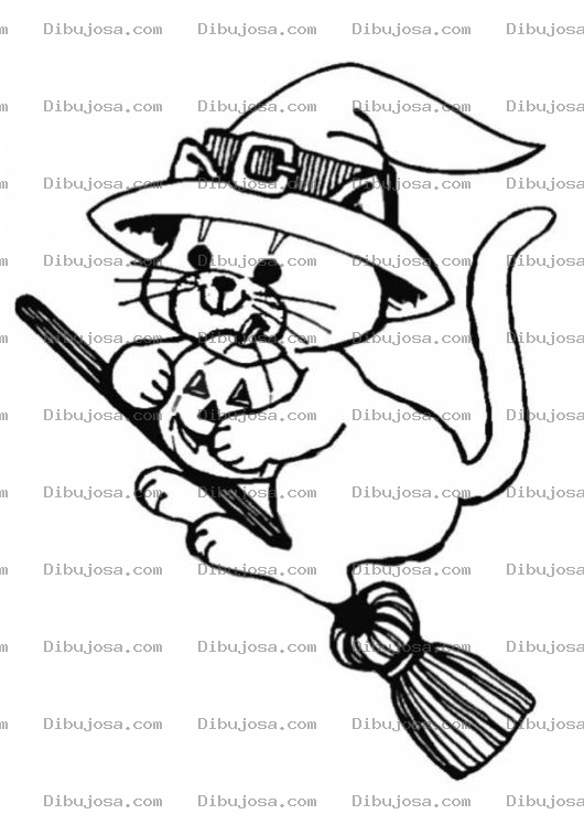 Dibujo para colorear Pintar Gata Bruja