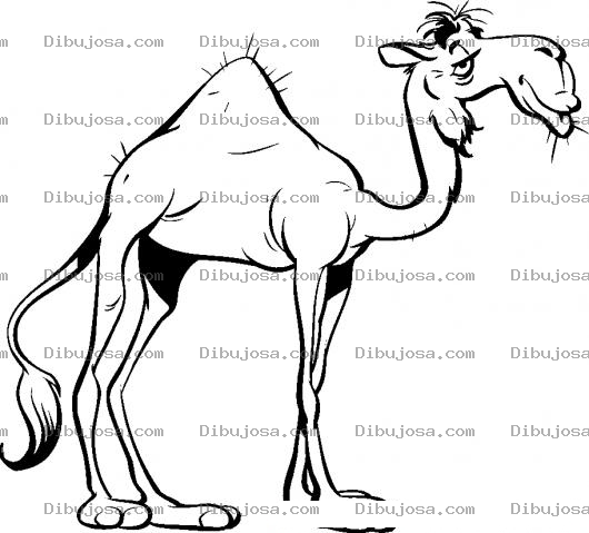 Dibujo para colorear Camello Viejo Para Colorear
