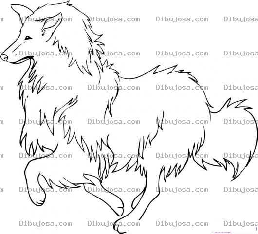 Dibujo para colorear Perro colorear