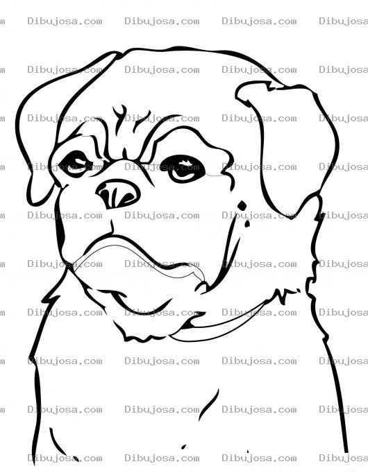 Dibujo para colorear Pintar Perro