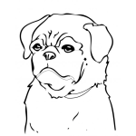 Dibujo para colorear Pintar Perro