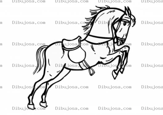 Dibujo para colorear Dibujo De Caballo Relinchando Para Pintar Y Colorear