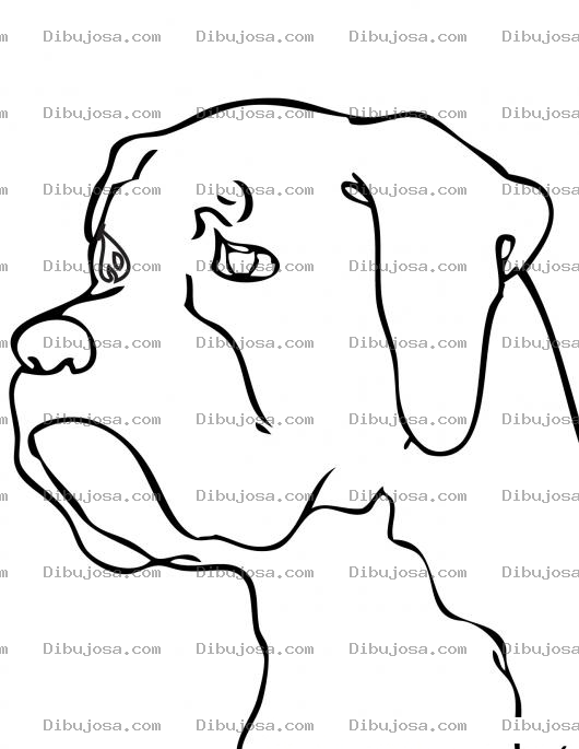 Dibujo para colorear Colorear perro boxer