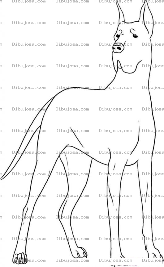 Dibujo para colorear Perro Pintar