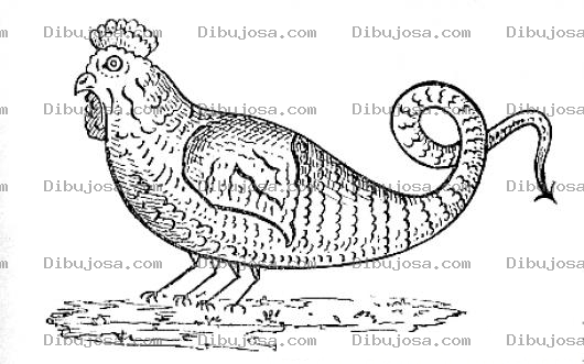 Dibujo para colorear Dibujo De Gallina Cuerpo De Culebra Para Colorear Gallinaculebra