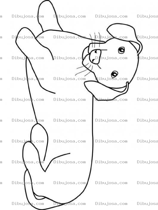 Dibujo para colorear Colorear perro salchica