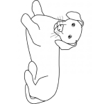 Dibujo para colorear Colorear perro salchica