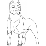 Dibujo para colorear Colorear Perro pitbull