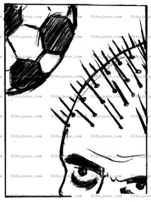 Dibujo para colorear Dibujo De Cabeza De Puas Pelo Parado Para Pintar Y Colorear