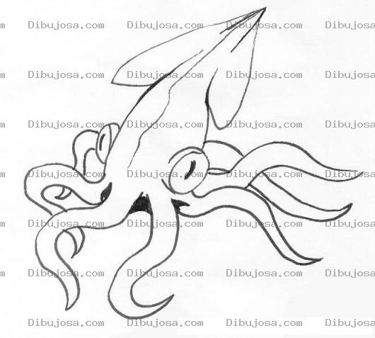 Dibujo para colorear Dibujo De Calamar Gigante Para Pintar Y Colorear