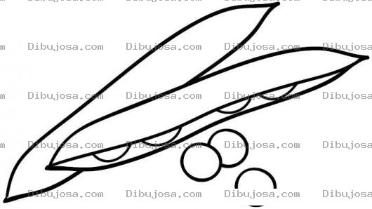 Dibujo para colorear Ejote Para Colorear Y Pintar Dibujos De Ejotes
