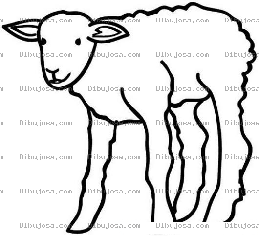Dibujo para colorear Becerro Para Pintar Y Colorear Dibujo De Corderito Bebe