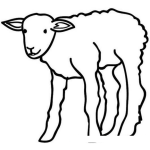 Dibujo para colorear Becerro Para Pintar Y Colorear Dibujo De Corderito Bebe