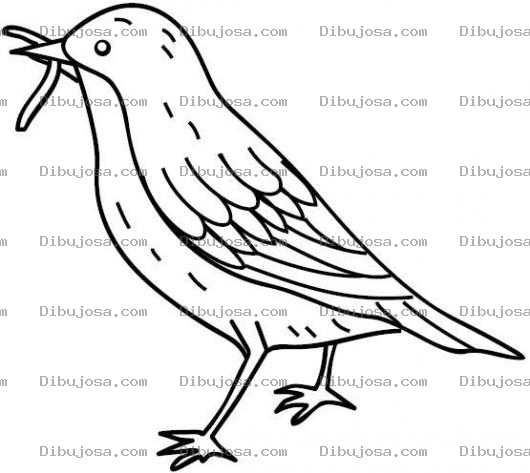 Dibujo para colorear Dibujo De Pajarito Comiendo Una Lombriz Para Pintar Y Colorear