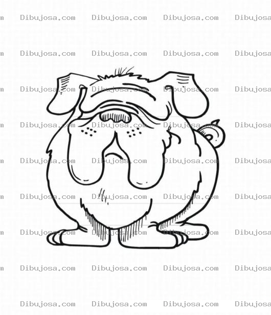 Dibujo para colorear Pintar perro bulldog