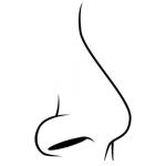 Dibujo para colorear Dibujo De Nariz Para Pintar Y Colorear
