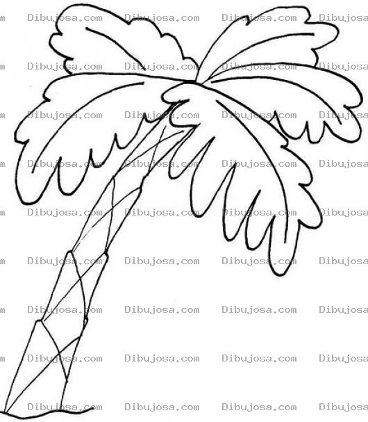 Dibujo para colorear Dibujo De Palmera Para Pintar Y Colorear Cocal