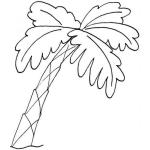 Dibujo para colorear Dibujo De Palmera Para Pintar Y Colorear Cocal