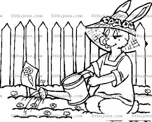 Dibujo para colorear Dibujo De Conejita Regando Zanahorias Para Pintar Y Colorear