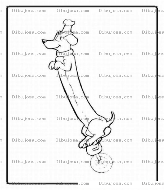 Dibujo para colorear Pintar Perro salchica en bicicleta