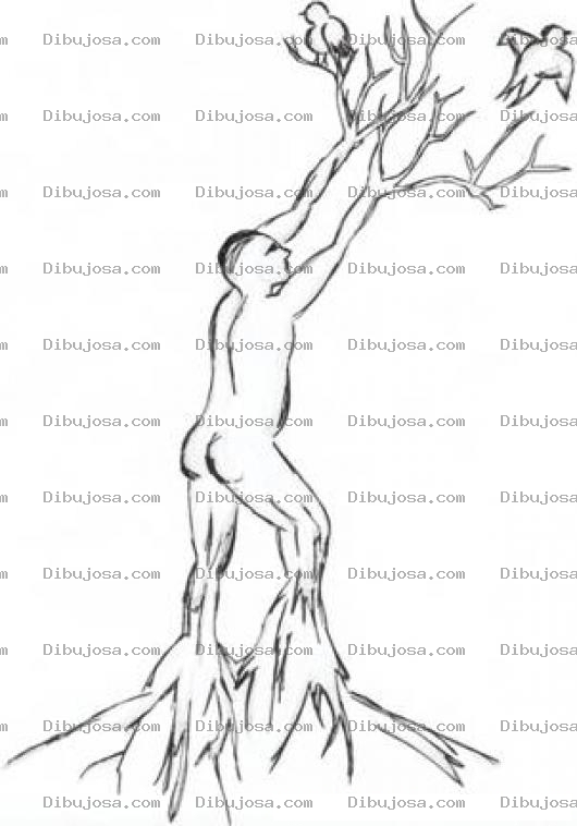 Dibujo para colorear Dibujo De Hombre Arbol Para Pintar Y Colorear