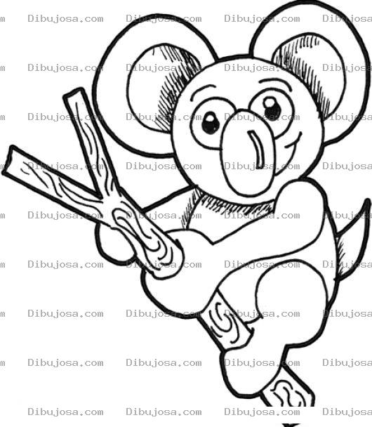 Dibujo para colorear Dibujo De Ositio Koala En Una Rama Para Colorear