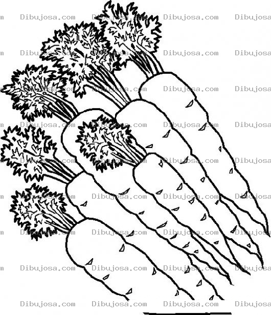Dibujo para colorear 6 Zanahorias Para Pintar Y Colorear