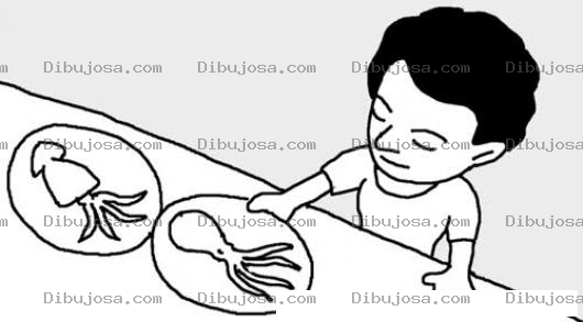 Dibujo para colorear Dibujo De Hombre Comiendo Pulpo Y Calamar Para Pintar Y Colorear
