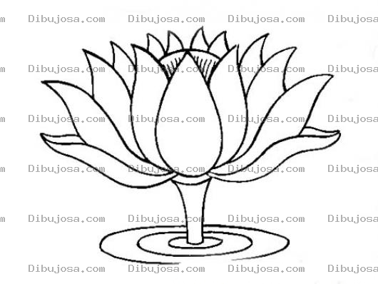 Dibujo para colorear Flor De Agua Para Pintar Y Colorear