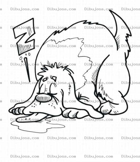 Dibujo para colorear Colorear Pero baboso dormido