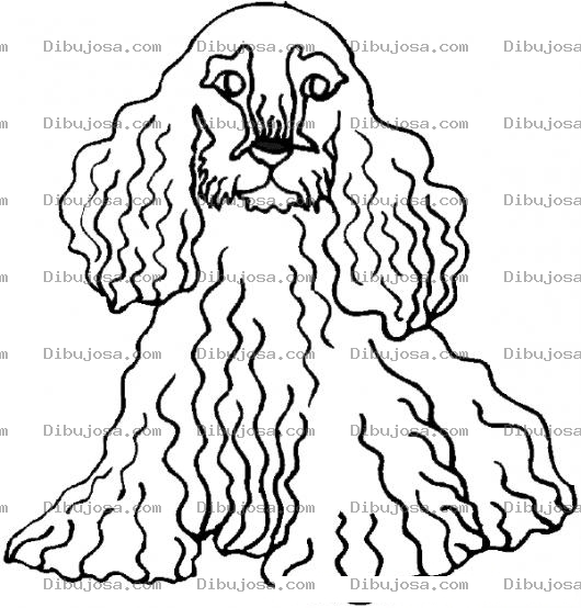 Dibujo para colorear Dibujo De Perrito Cocker Para Pintar Y Colorear