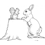 Dibujo para colorear Dibujo De Ardilla Y Conejo Para Pintar Y Colorear