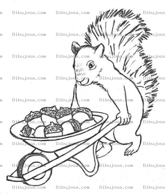 Dibujo para colorear Dibujo De Ardilla Con Carreta Para Pintar Y Colorear